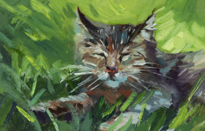 acrylic class
